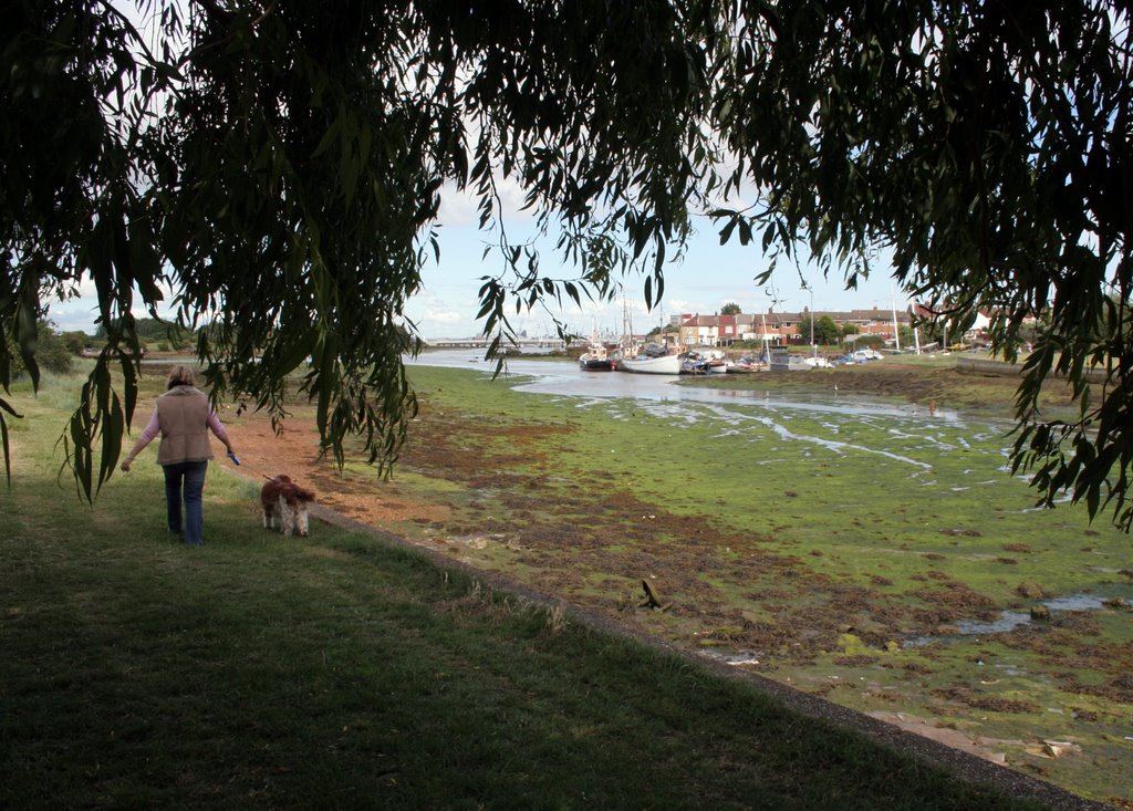 Helen & Cleo at Forton Creek by Loblolly