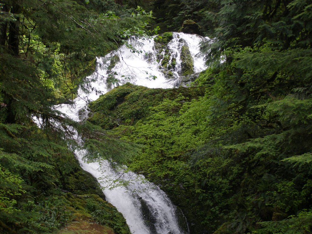 The Mossy Rockface in Bunch Falls by Chris Harmon