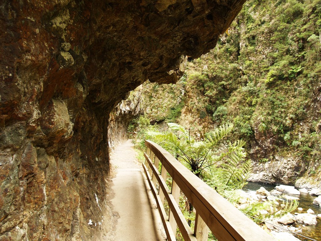 Karangahake Gorge by tiny branje