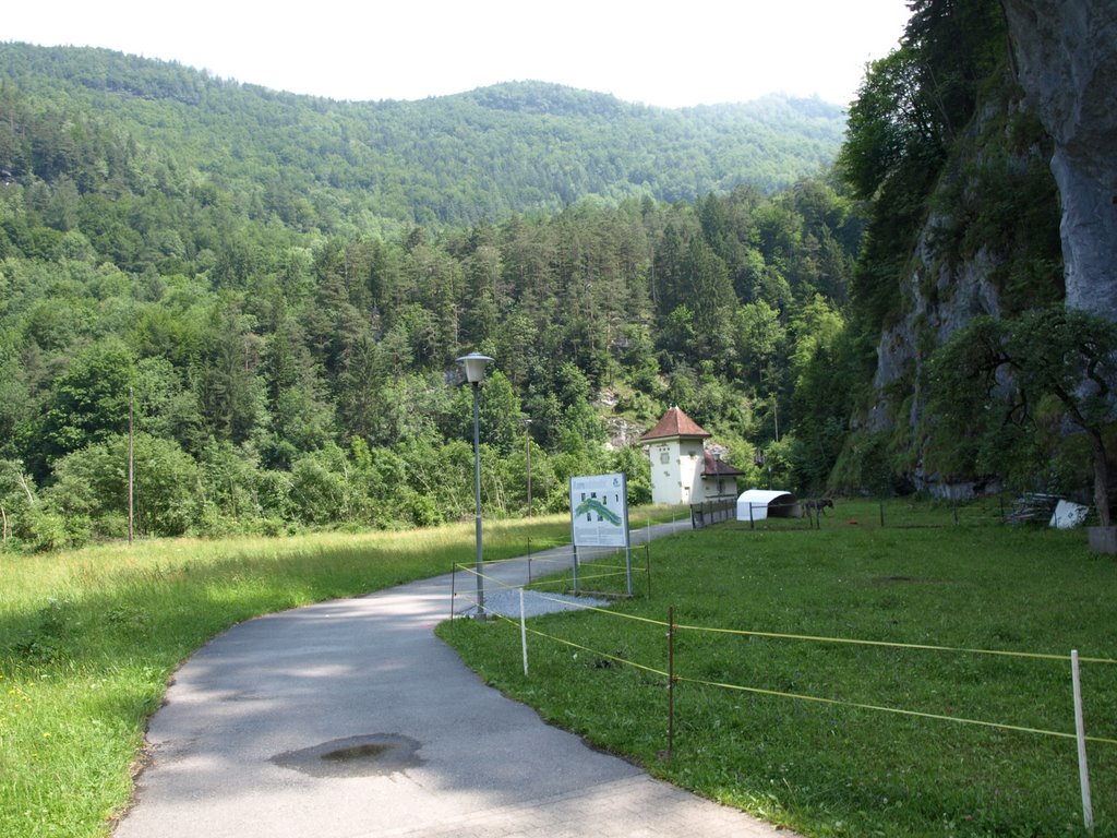 Aareschlucht (June 2008) by www.swiss-pics.ch by NilsW