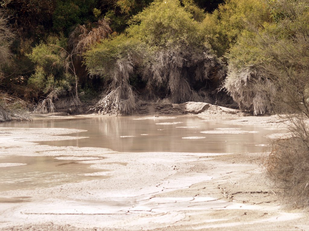 Mud Pool near Wai oTapu by tiny branje