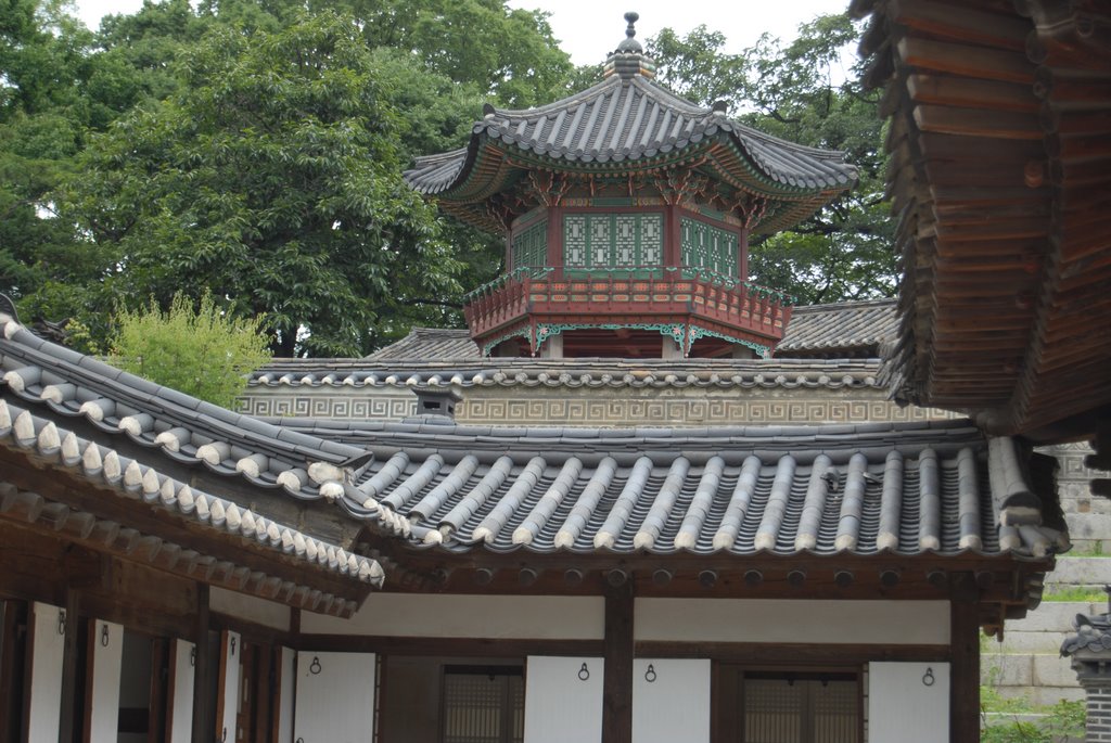 Changdeok Palace and Biwon Garden by LAPicMan