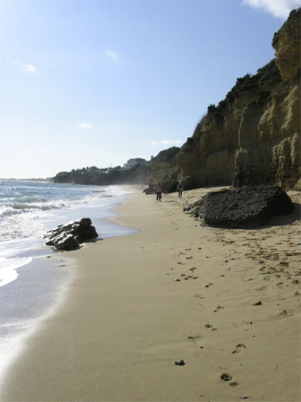 Beach near Caños de la Meca, Spain (2006) by riorom