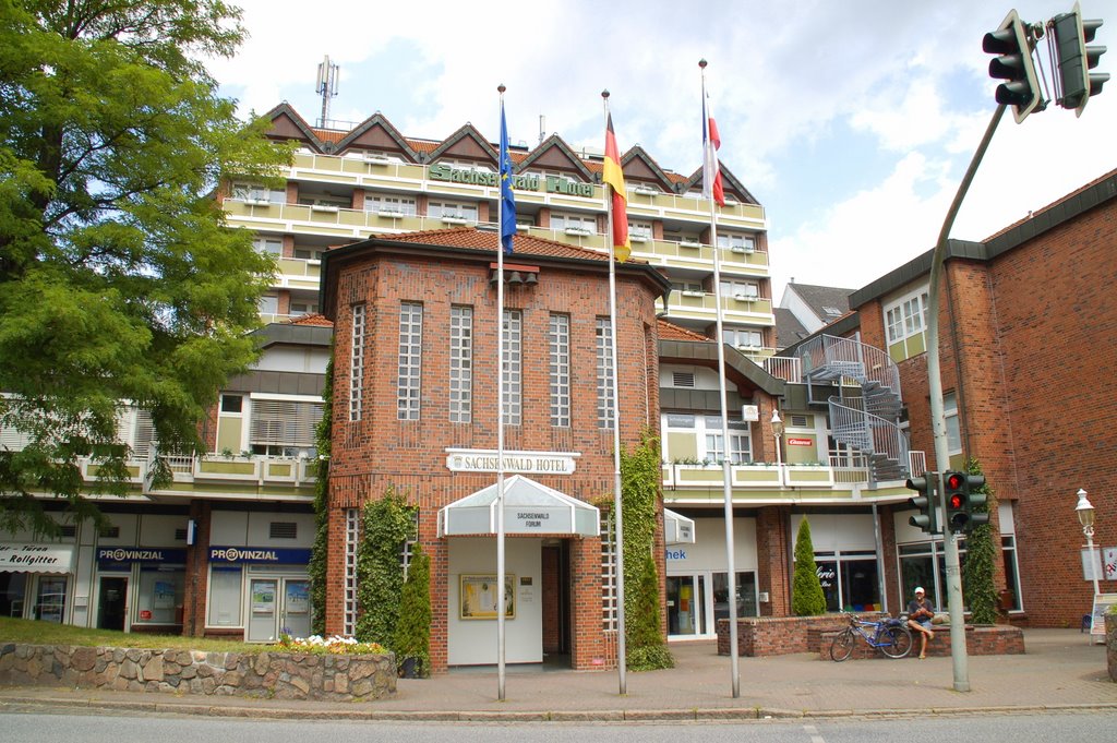 Sachsenwald-Forum: Klönturm u. Hotel by Werner Menken