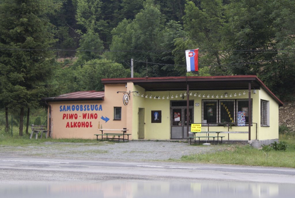 Mniszek nad Popradem by tadeusz dziedzina©