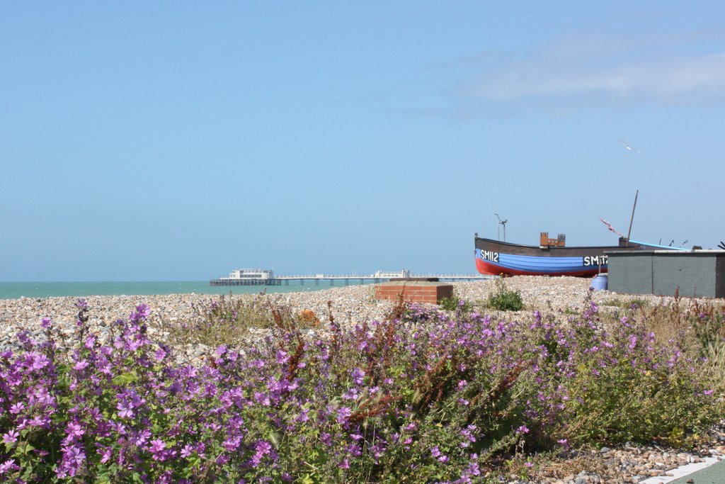 Beach and pier by Paul_G