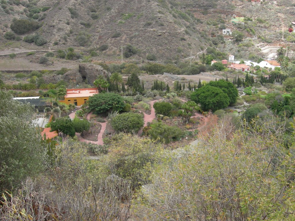 Vista del Jardín de cactus y suculentas by Mingole