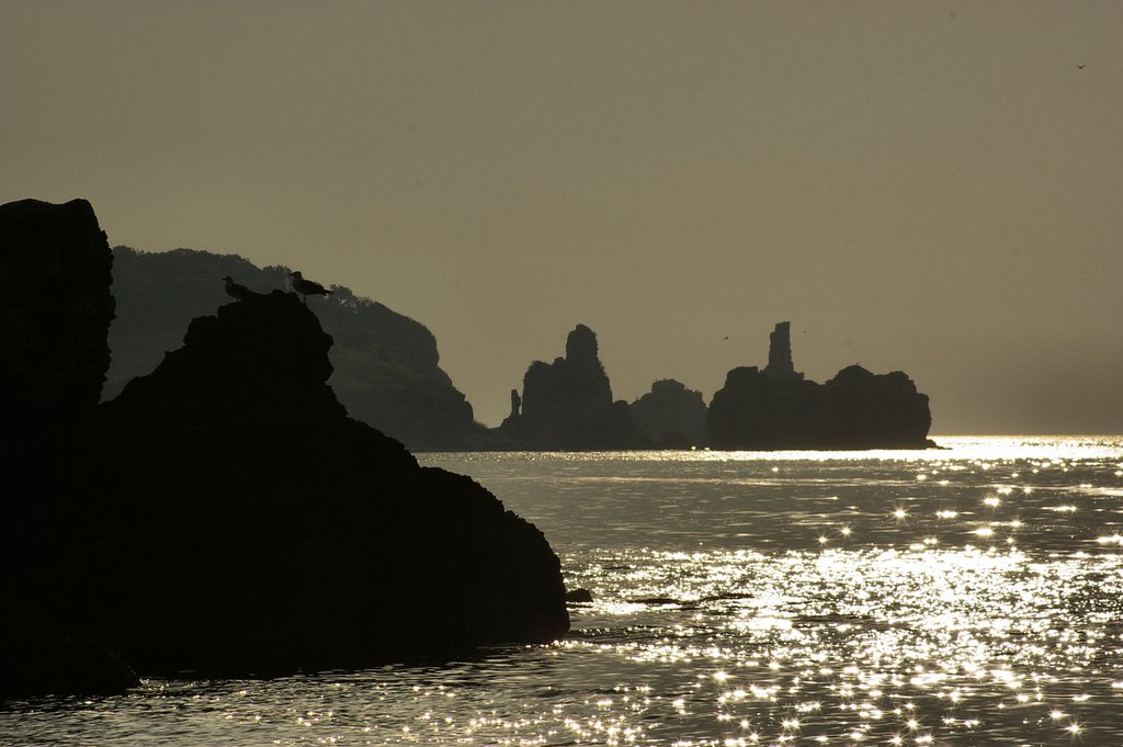 Seaguls on the rocks - sunset by Serdar Bilecen