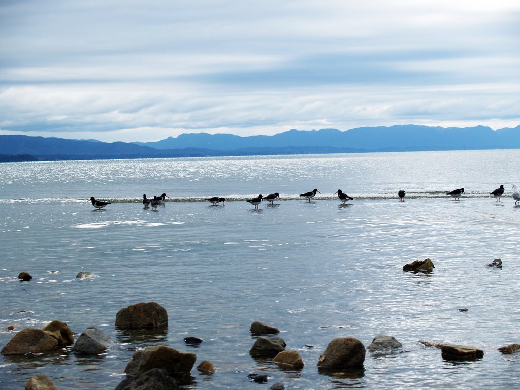 Pohara Beach by tiny branje