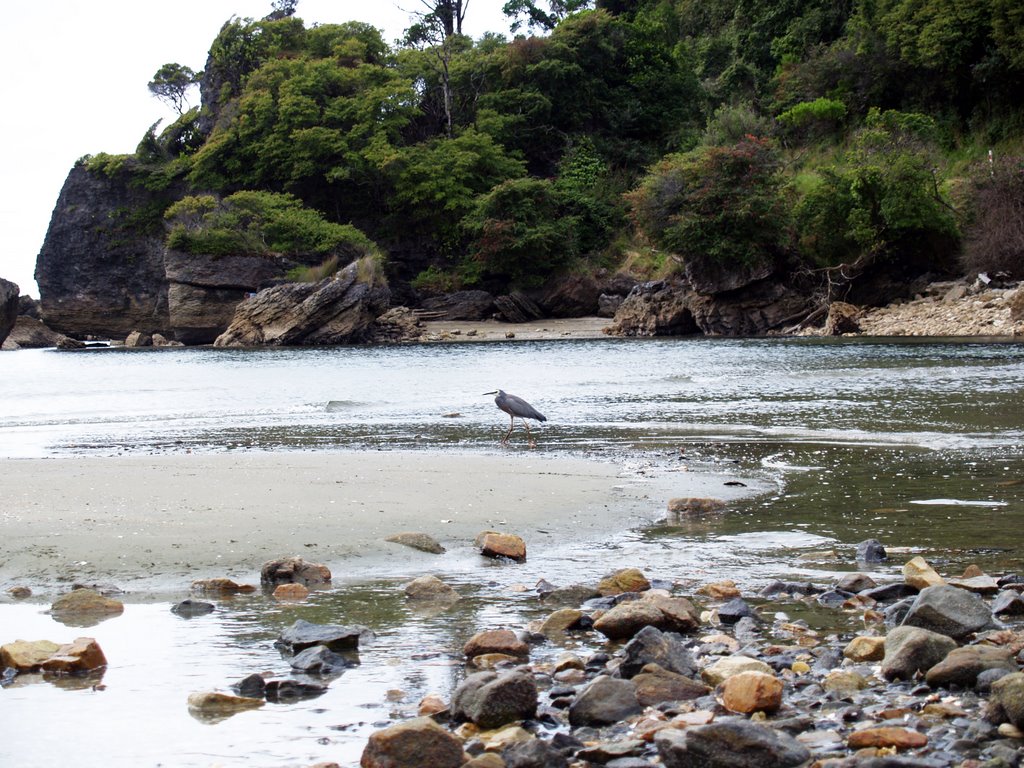 Pohara Beach by tiny branje