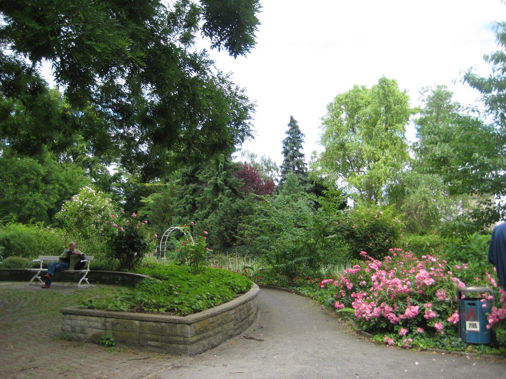 Rosaleda Victoria Park by cricra