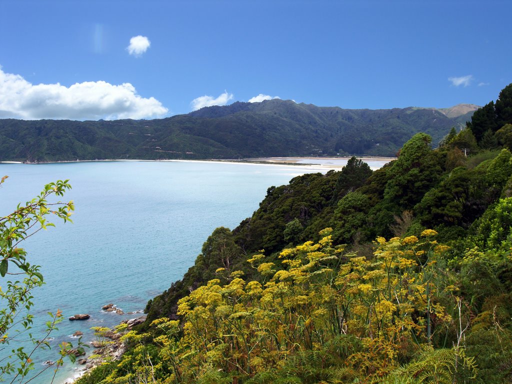 Wainui Bay by tiny branje