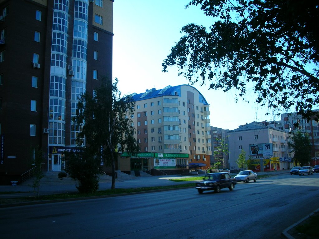 E Street View. Tyumen, Russia, June 2008 by Romualdas_arm