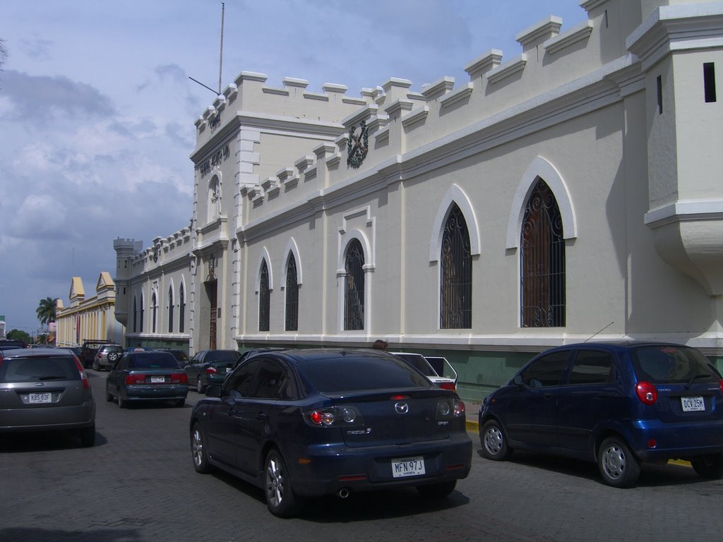 Instituto municipal de cultura arte y musica by enderspecol