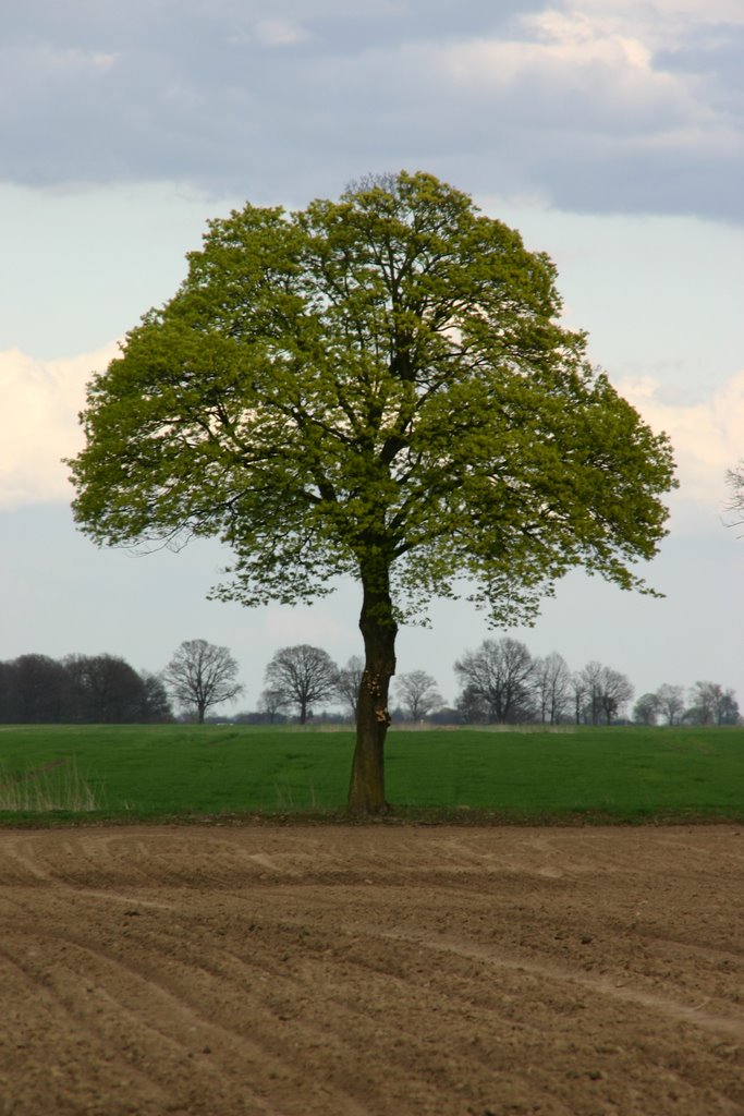 Manker - The Landscape around III by Tom B.