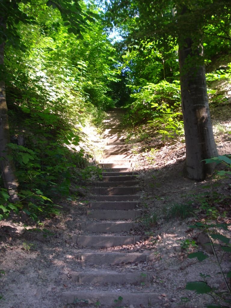 Treppe auf den Burghügel by Thomas Merz-Abt