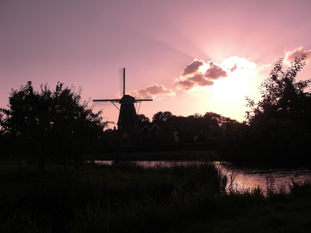 Molen de Valk vanuit park Montfoort by KoosKaarsgaren