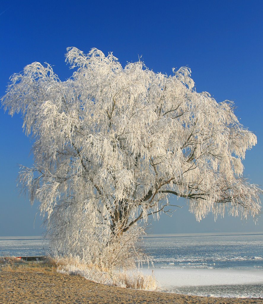 Winterwonderland hemmeland by leanderfrancis