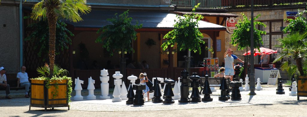 Chess in the park by Roman Wojs