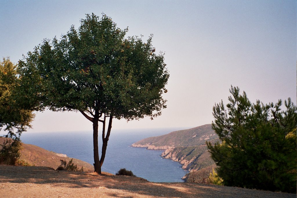 South Sithonia by Boris Stefanovic