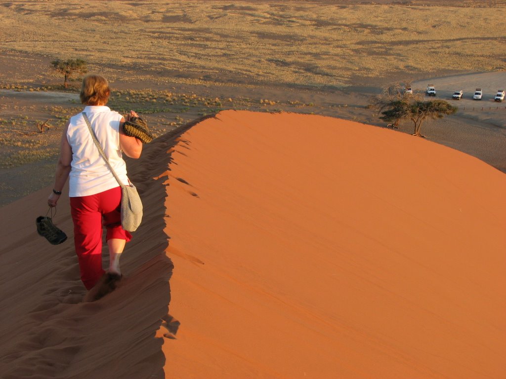 Leaving Dune No.45 by Gusztáv Bártfay