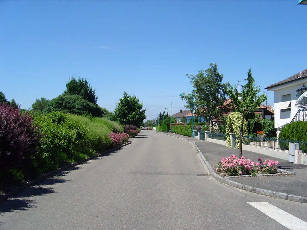 Rue du Docteur Albert Schweitzer (Dr. Albert Schweitzer street) by http://www.meispix.com (Philippe Meisburger)