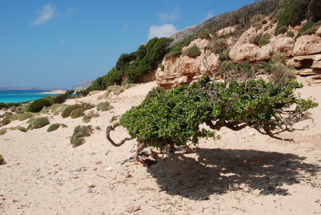 Crete,Greece by bzyku