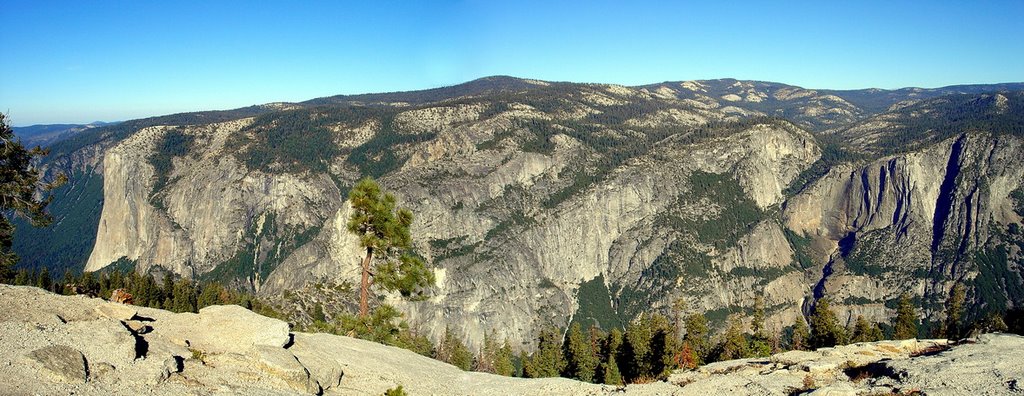 Yosemite State park, ca by laptop