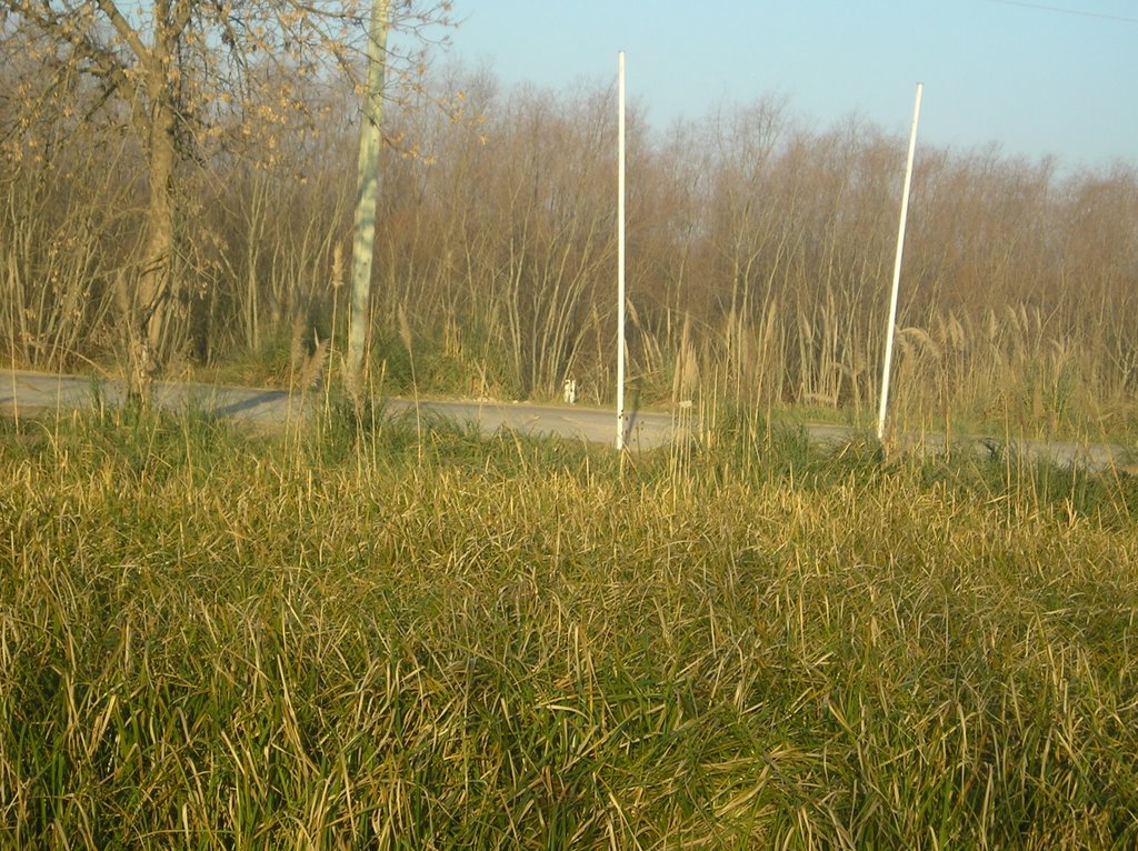 Vista de ruta desde pequeña Holanda by jpsalvo