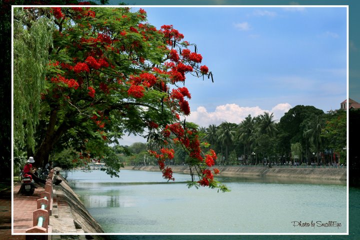 Bờ sông Tam Bạc by TranTung