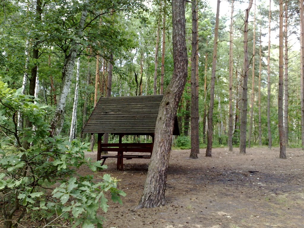 Leśna budka by geotagger_pl