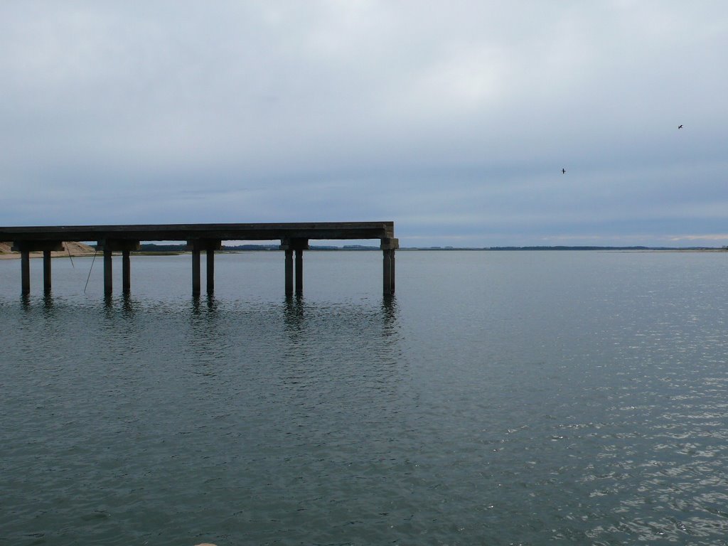 Puente inconcluso en la Laguna Garzón, Uruguay by Ana Padorno