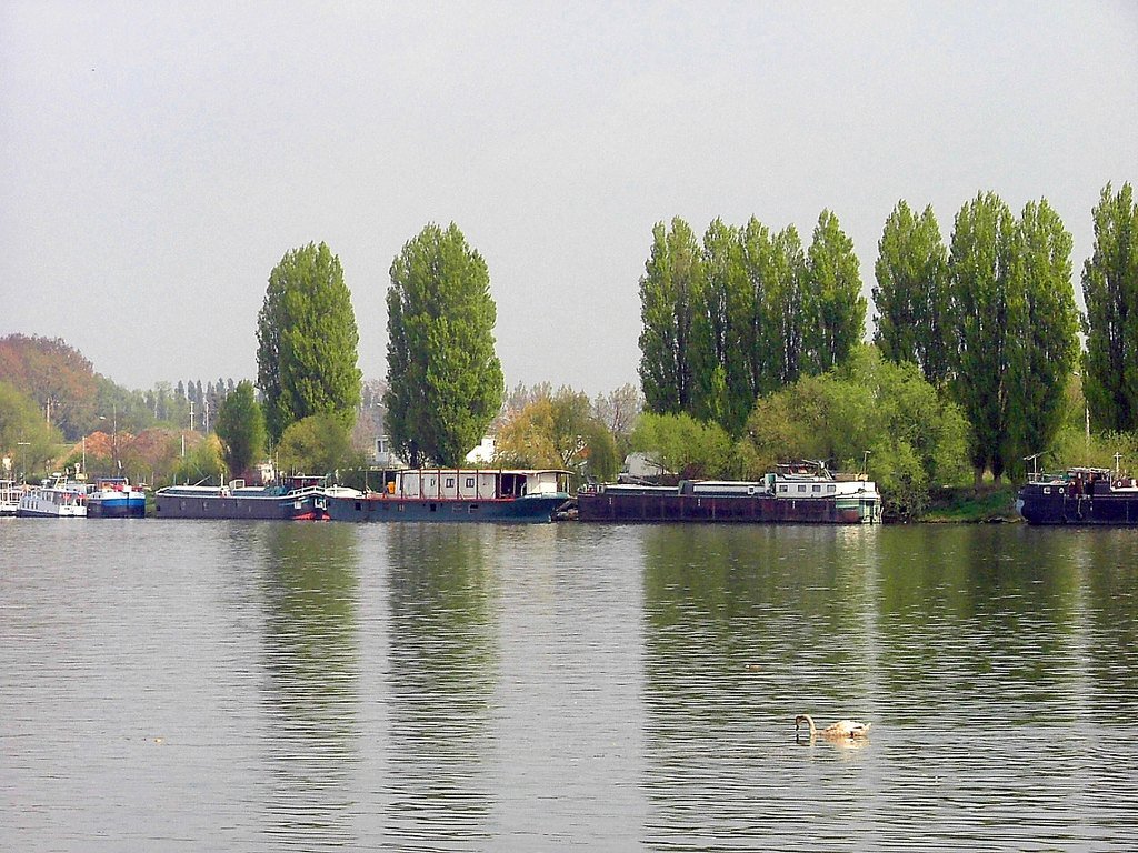 Andresy, Bateaux sur la Seine by RSPan