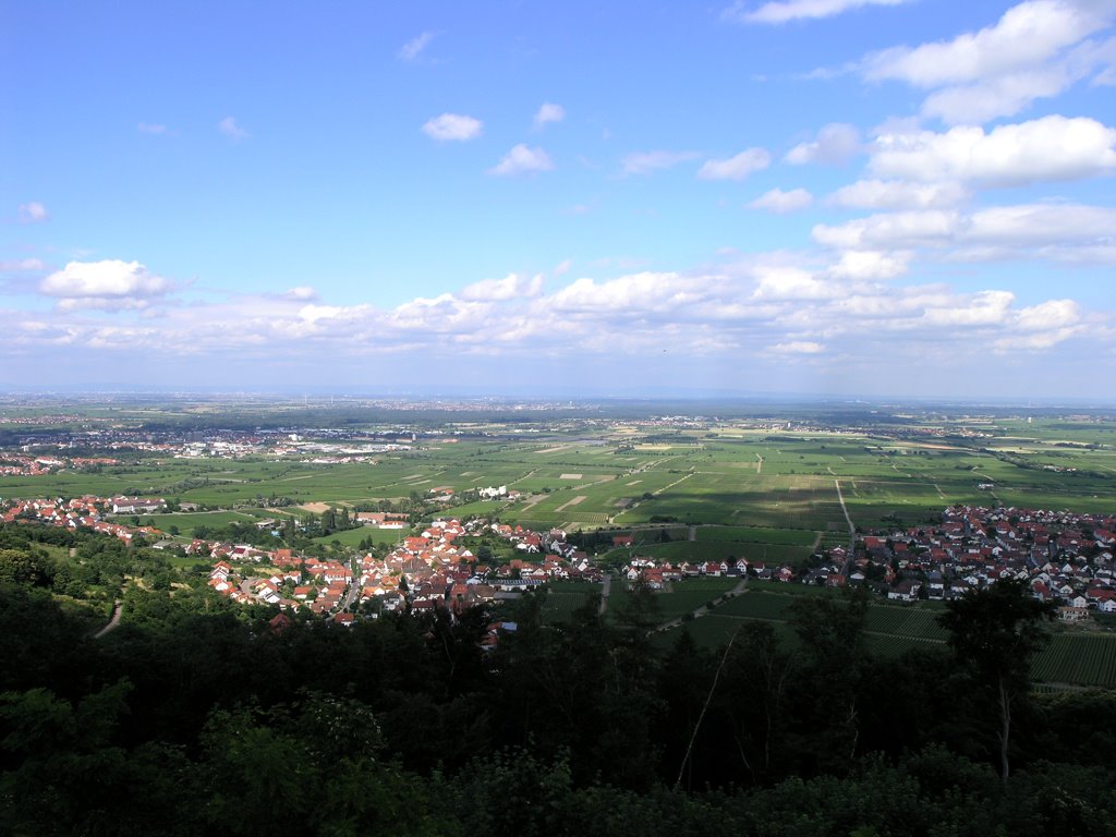 Neustadt-Hambach, Blick vom Hambacher Schloss by Jan Haas