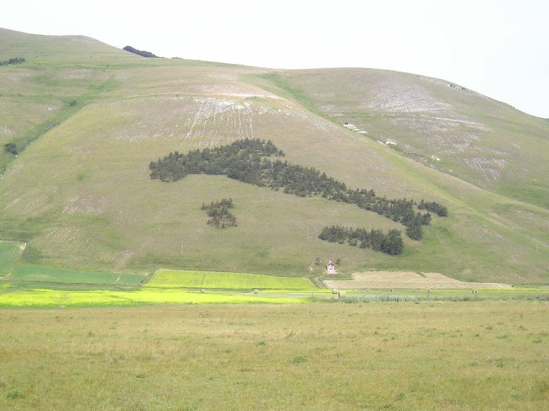 Castelluccio di norcia by LB59