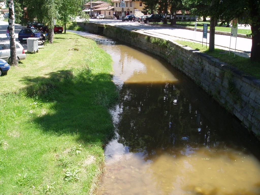 Koprivshtitsa, Topolnitsa river 2 by Velyan Slavkov