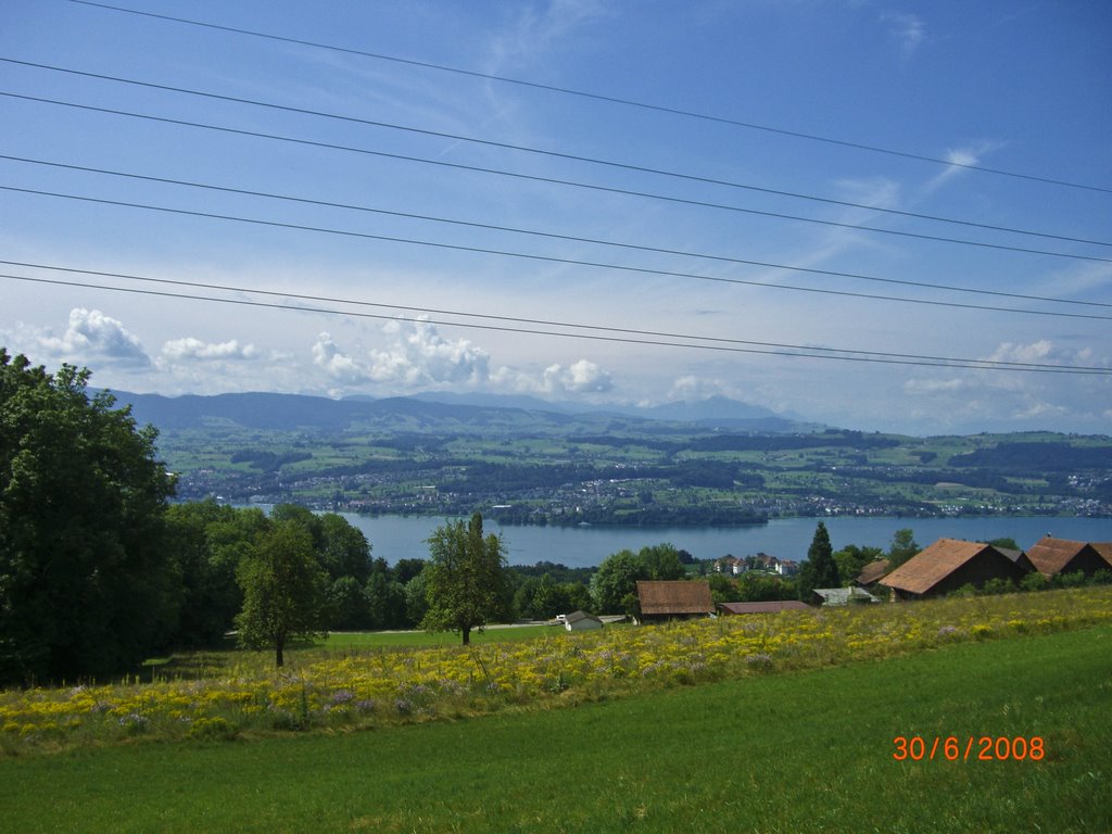 Blick auf den Zürichsee by jellyfish61