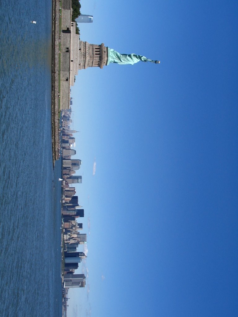 Lady liberty and downtown by irene chiesa