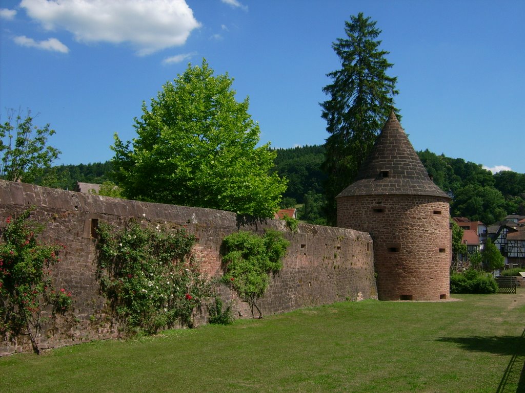 Büdingen: ............... by der_odenwaelder