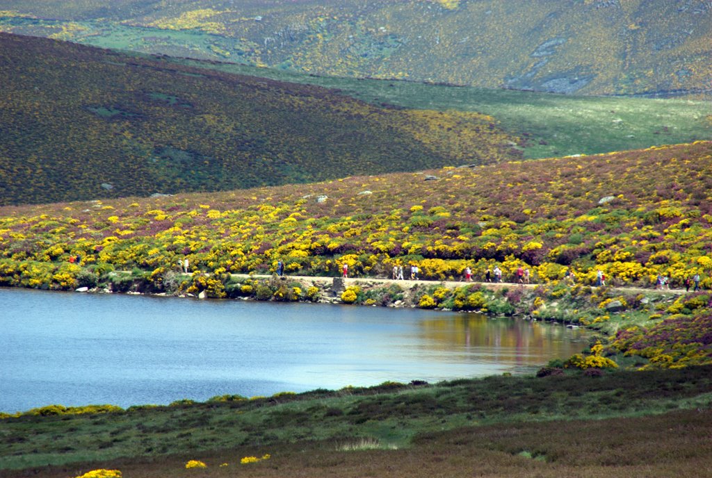 Lago de los Peces by rrgr