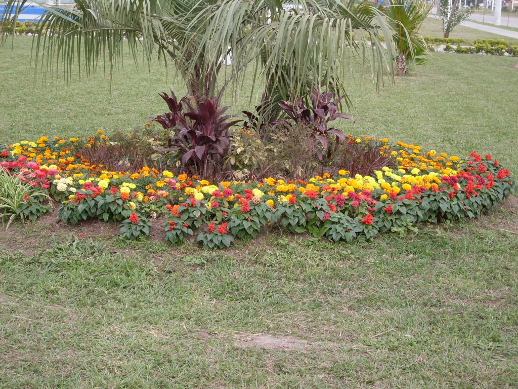 Estadio Polideportivo Cincuentenario. Jardín by Manuel Ferreira