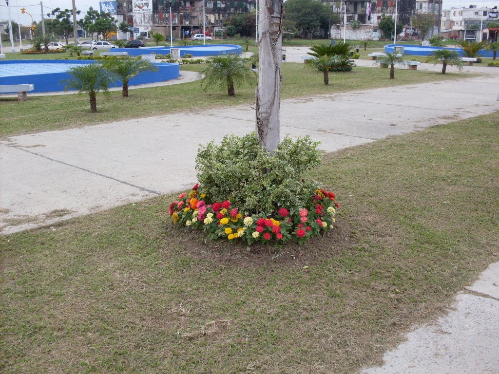 Estadio Polideportivo Cincuentenario. Jardín by Manuel Ferreira