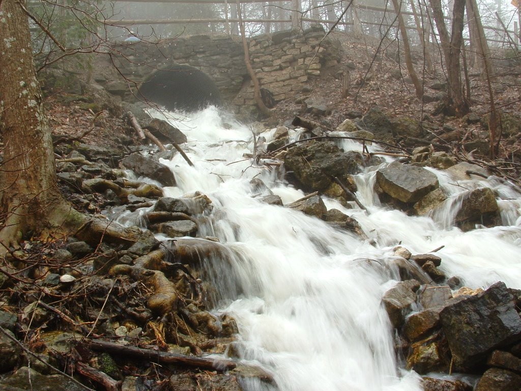 Snow's Creek Waterfall by Russell S