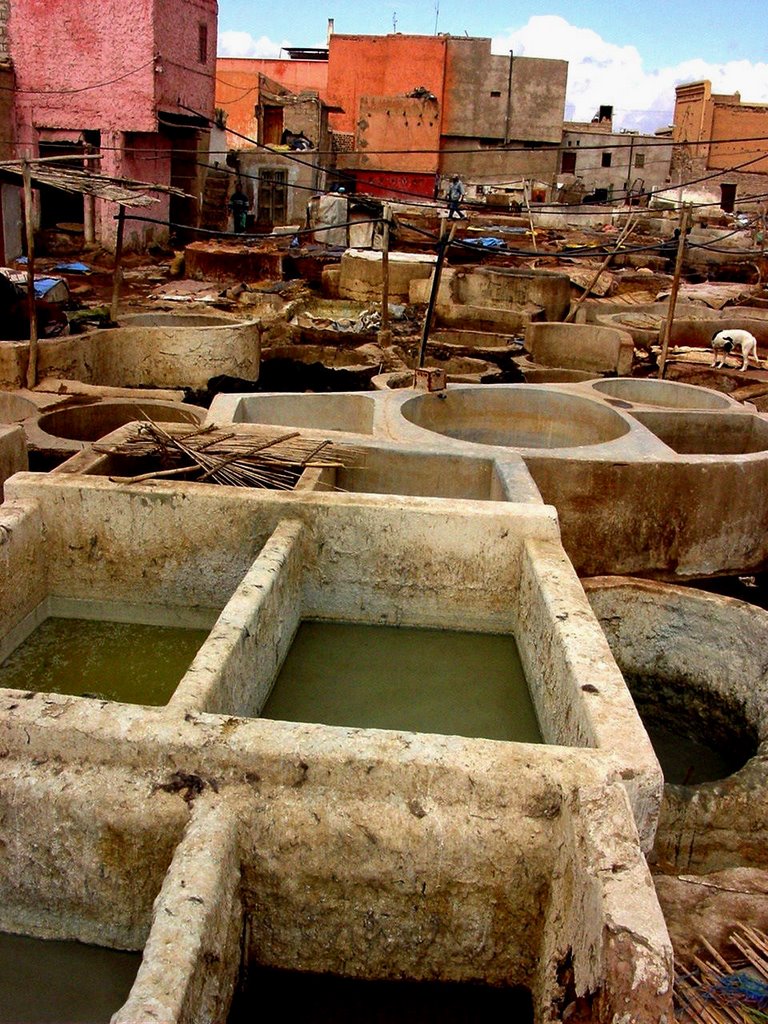 Marrakech Tanneries 1 by Peter Connolly