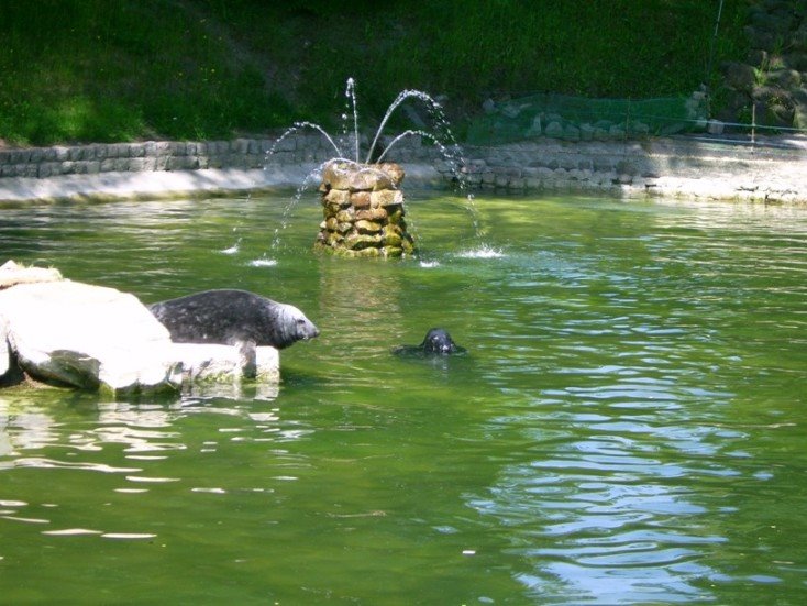 Gdańsk Oliwa - ZOO by AnnaJolanta 1