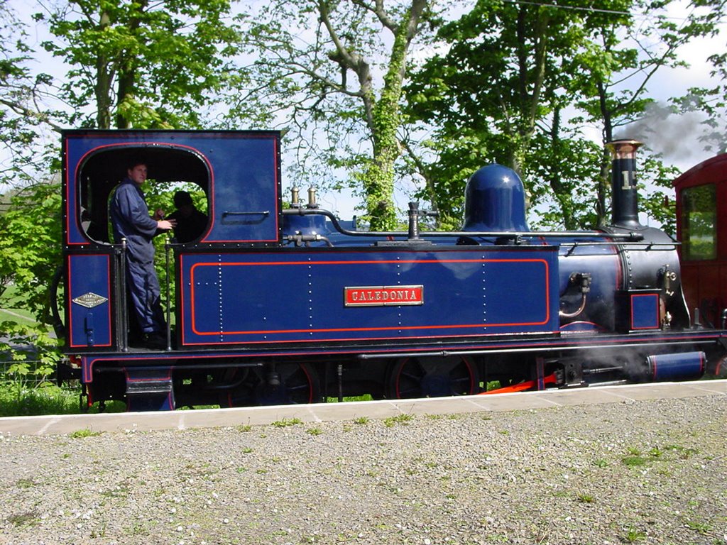 'Caledonia' at Port Saint Mary Station by Puckoon