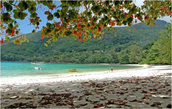 Port Louney Beach,2005 by Tianzhan