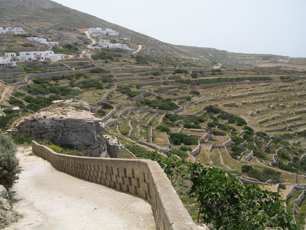 Folégandros (Chora, cultures en terraces) by al17460