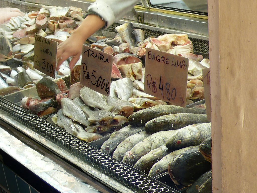 Pescadería en el mercado de Pelotas, Brasil by Ana Padorno