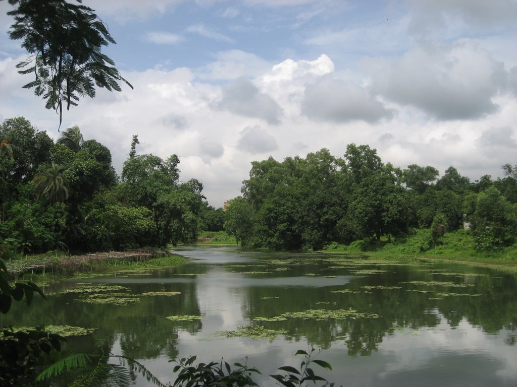 Rainy season, JU Campus by Mir Abul Kashem